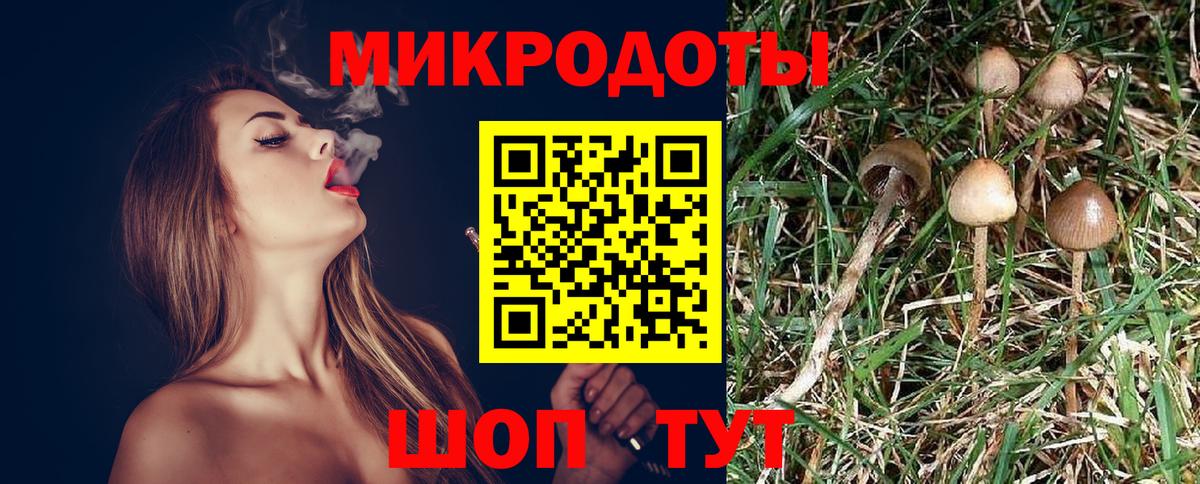 Галлюциногенные грибы ЛСД Ижевск