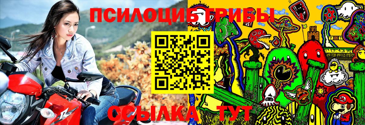 Ижевск  Псилоцибиновые грибы Psilocybine cubensis  Вход с VPN  Галлюциногенные грибы ЛСД 
